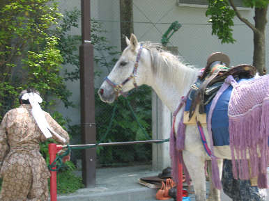 img_0785.jpg